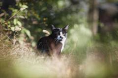 ぽかぽかの日向