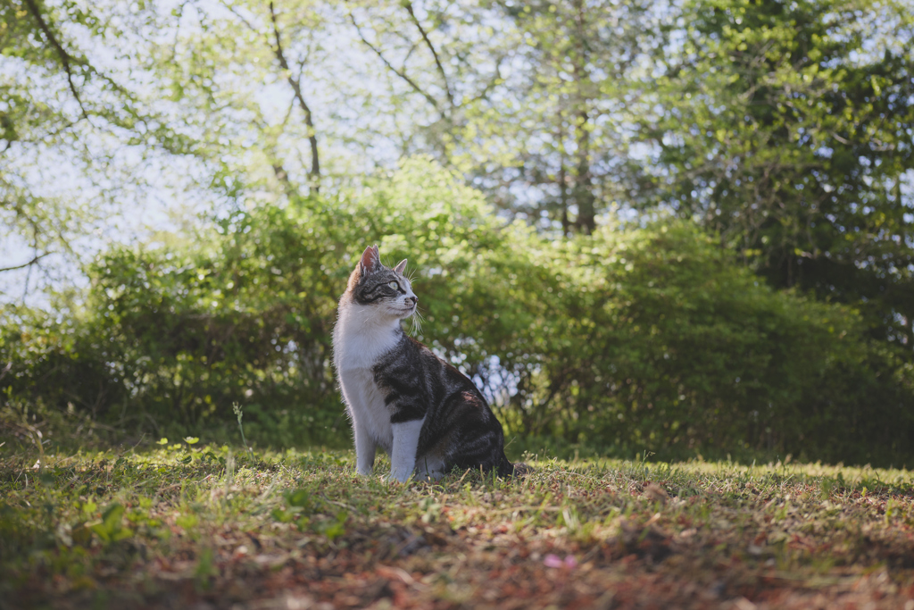 木陰で