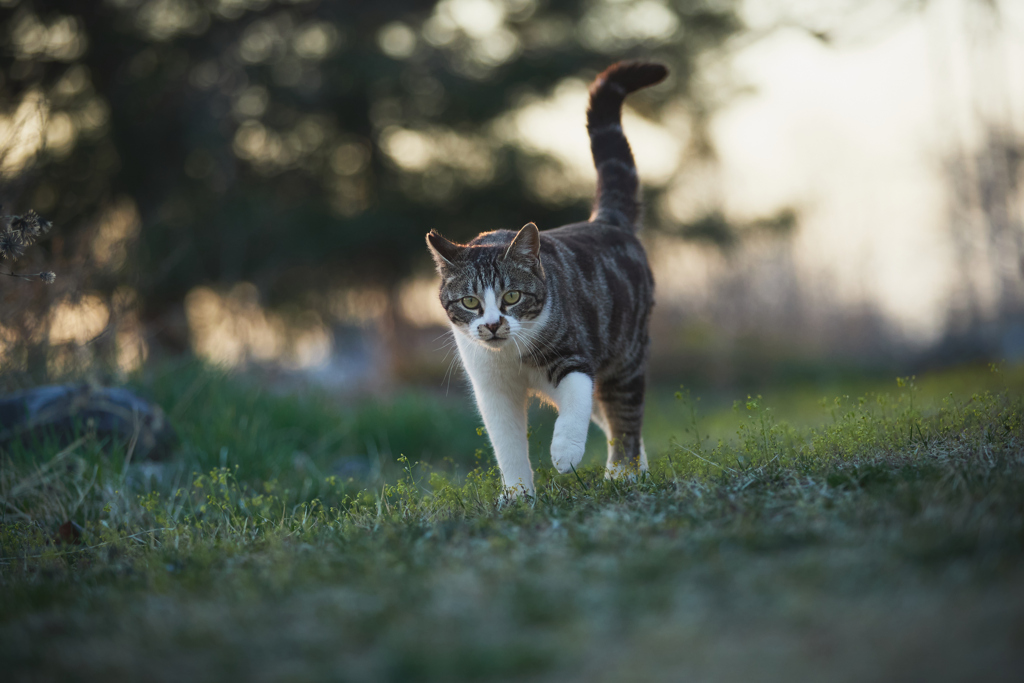 薄暗い夕暮れの中