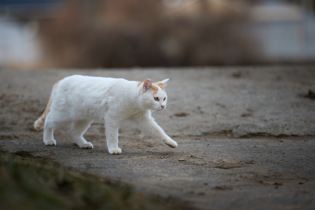 そろ～り
