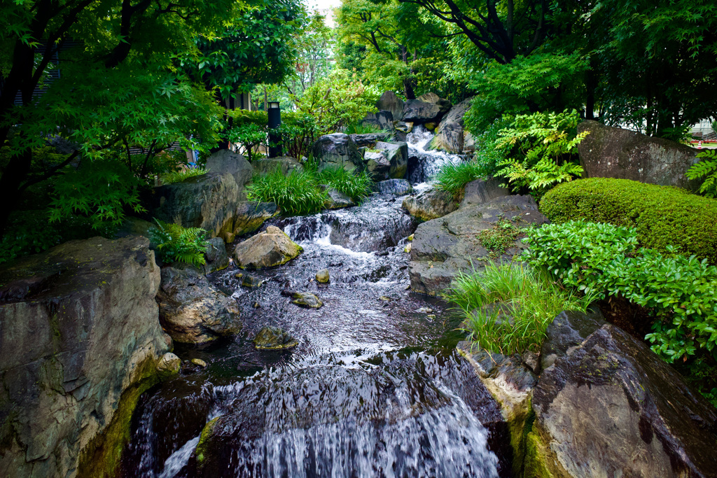 浅草③