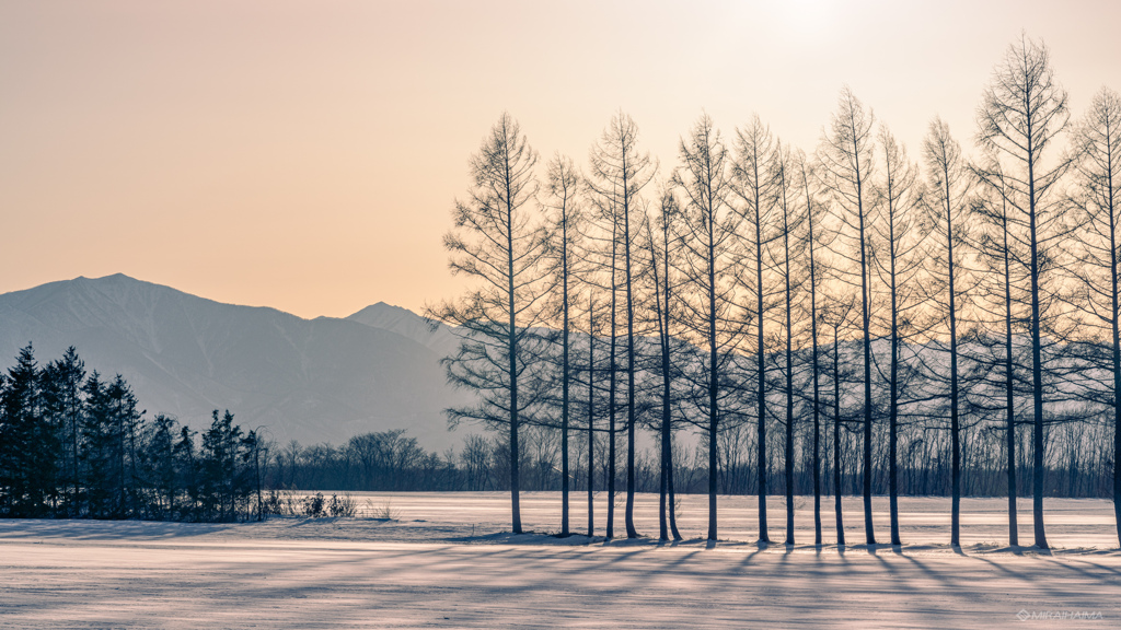 十勝の冬の夕方