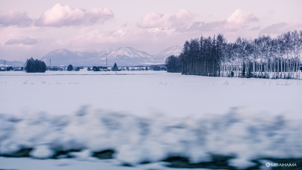 大雪雲