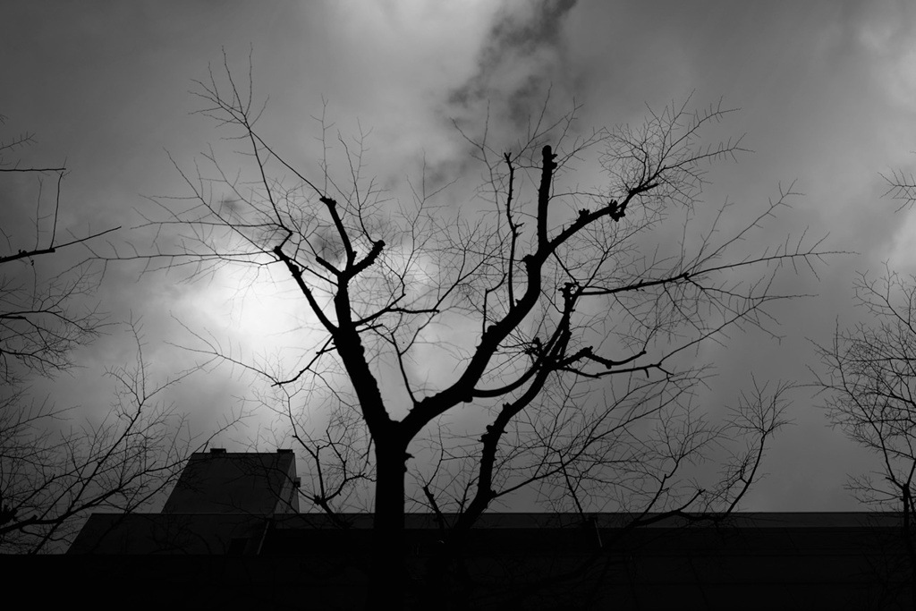 D7973D75-3DF4-4EB4-B3E1-6C323C146F3E