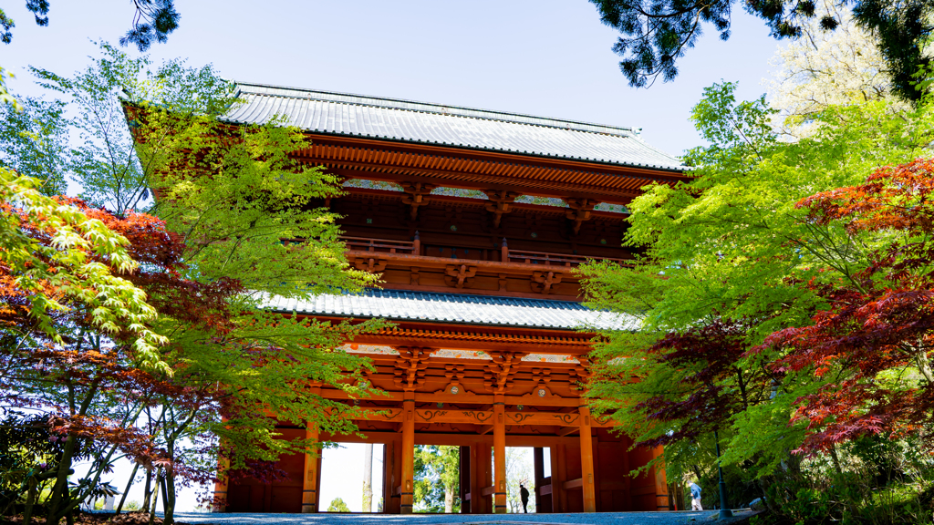 金剛峯寺2