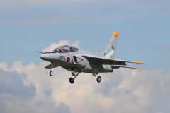 夏のT-4