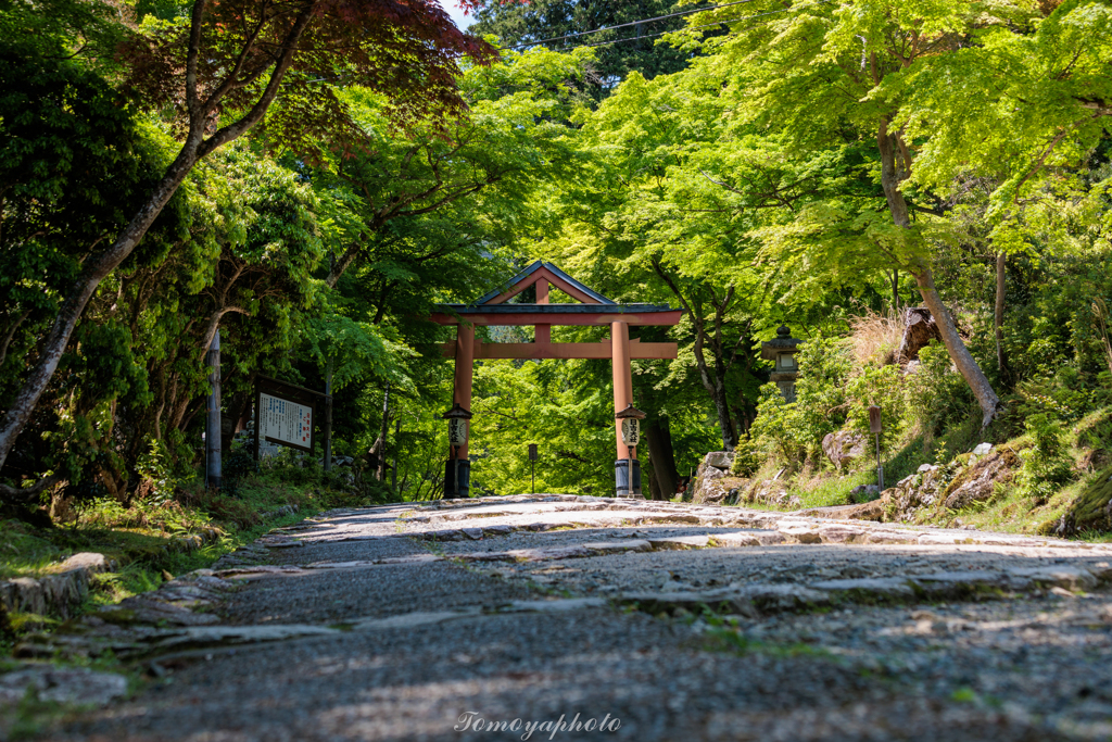 日吉大社