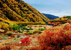 カールの紅葉