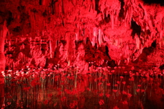彼岸花