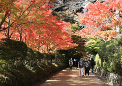 まあ　きれい！