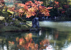 晩秋の兼六園