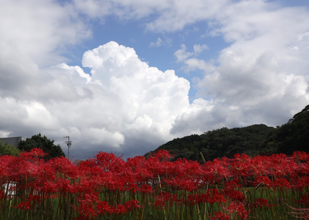 秋と夏