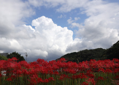 秋と夏