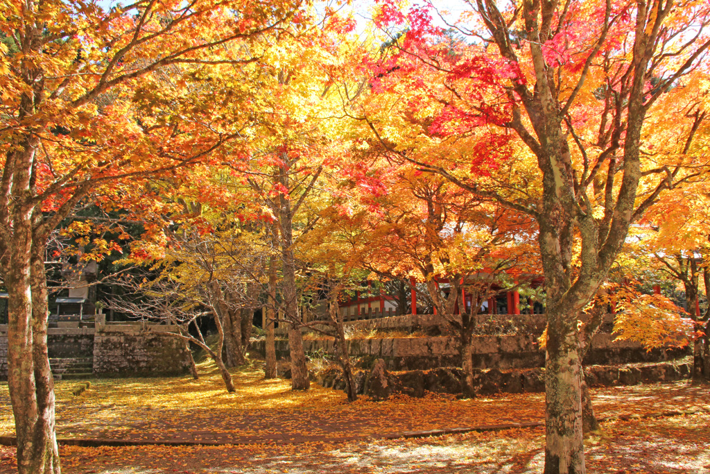 高野山　秋本番