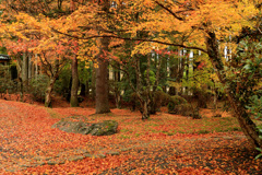 高野山の秋