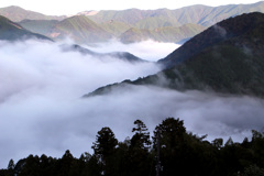 山霧発生