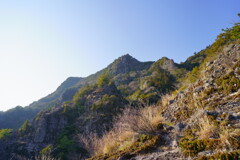 津波戸山を振返る
