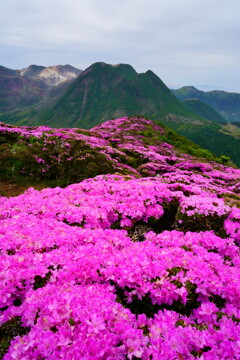 平治岳から見る三俣山