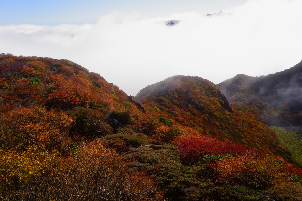 ガスと三俣山の紅葉