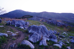 夜明け前の羊群原