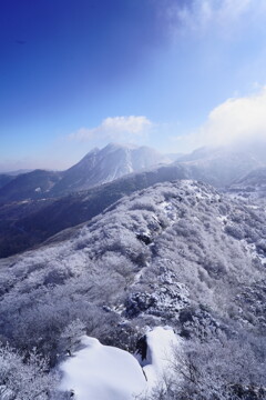 雪に覆われる九重連山