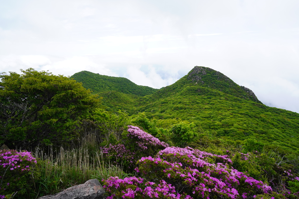 高塚山より天狗岩を望む