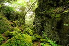 九重　黒岳　仙人岩