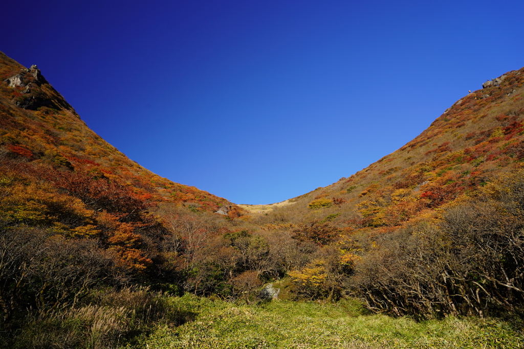 紅葉と青空
