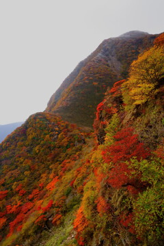 三俣山の紅葉と霧氷