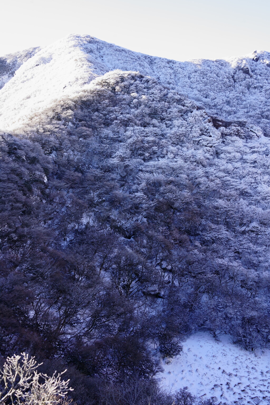 小鍋と南峰