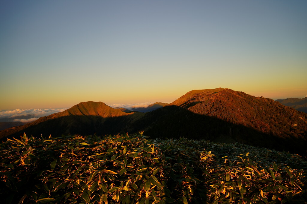 モルゲンル-トに染まる剣山・次郎笈