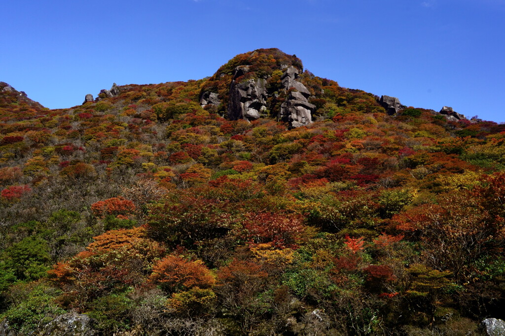 大鍋から見る紅葉