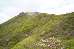 星生山を振り返る