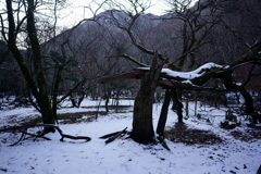 黒岳　雨堤