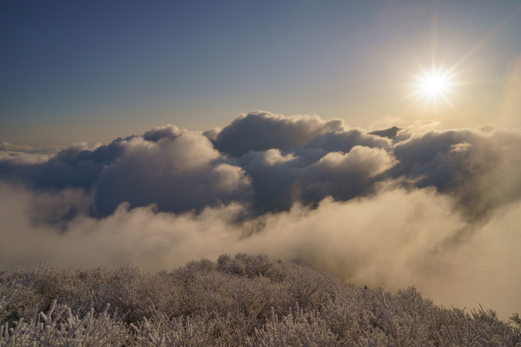 大船山の日の出2