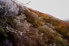 三俣山の紅葉と霧氷