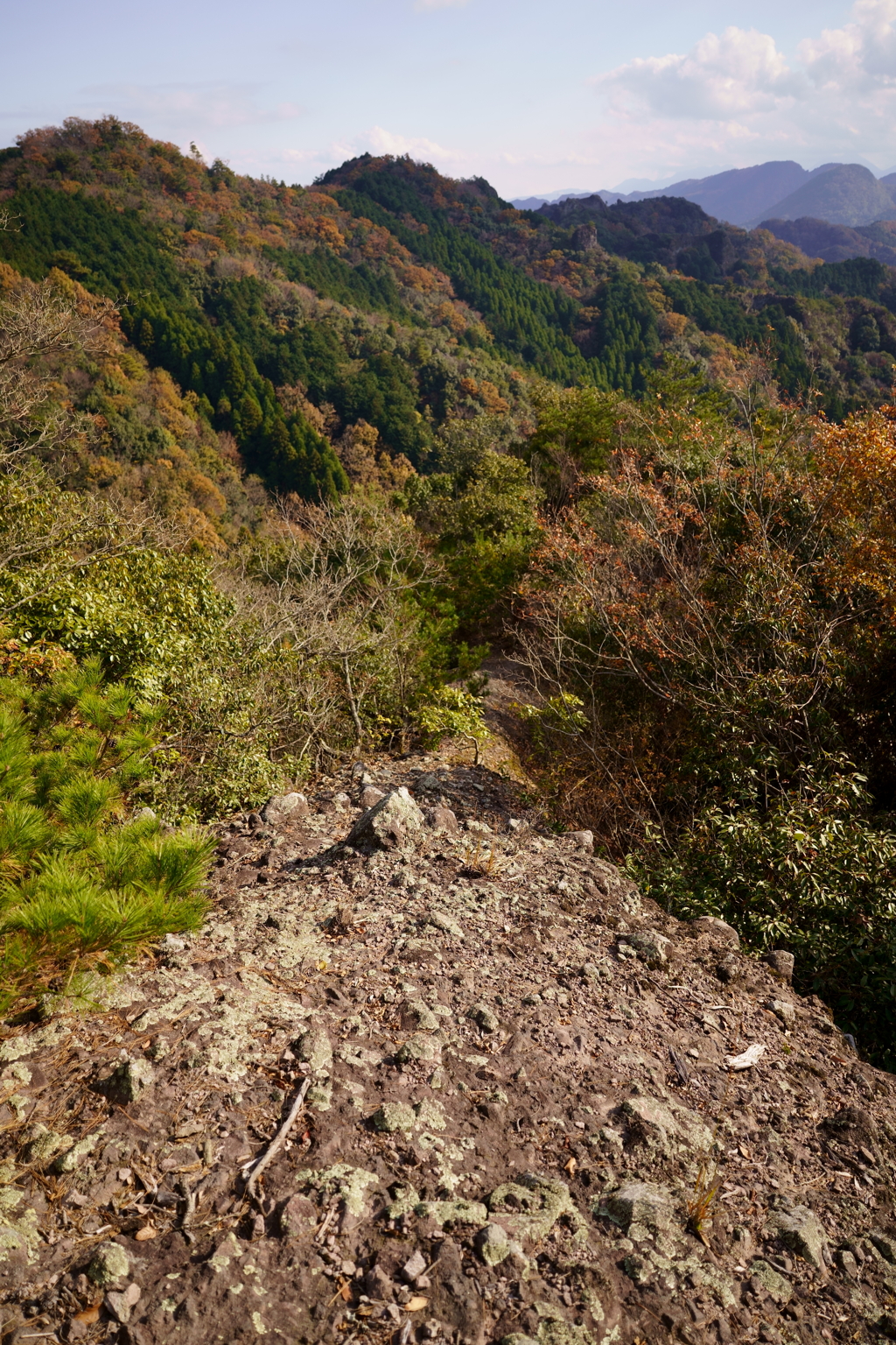 登山道
