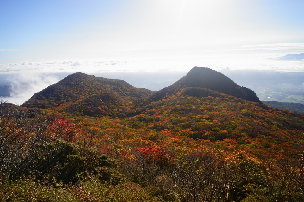 黒岳 天狗岩の紅葉