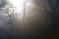 雲海の中を歩く