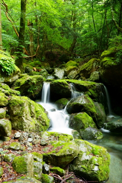 祖母山の沢