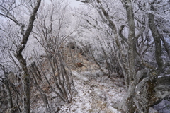 霧氷の中を歩く登山道