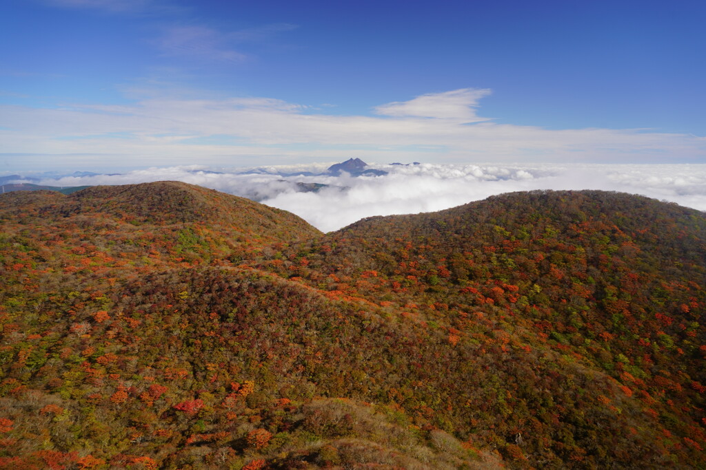 天狗岩からの眺め1