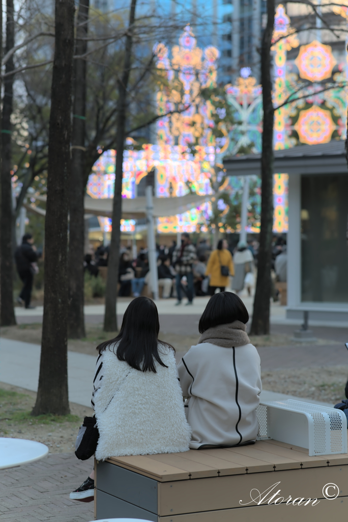 2024年1月27日神戸ルミナリエ  東遊園地 No３