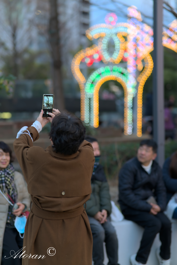 2024年1月27日神戸ルミナリエ  東遊園地 No５