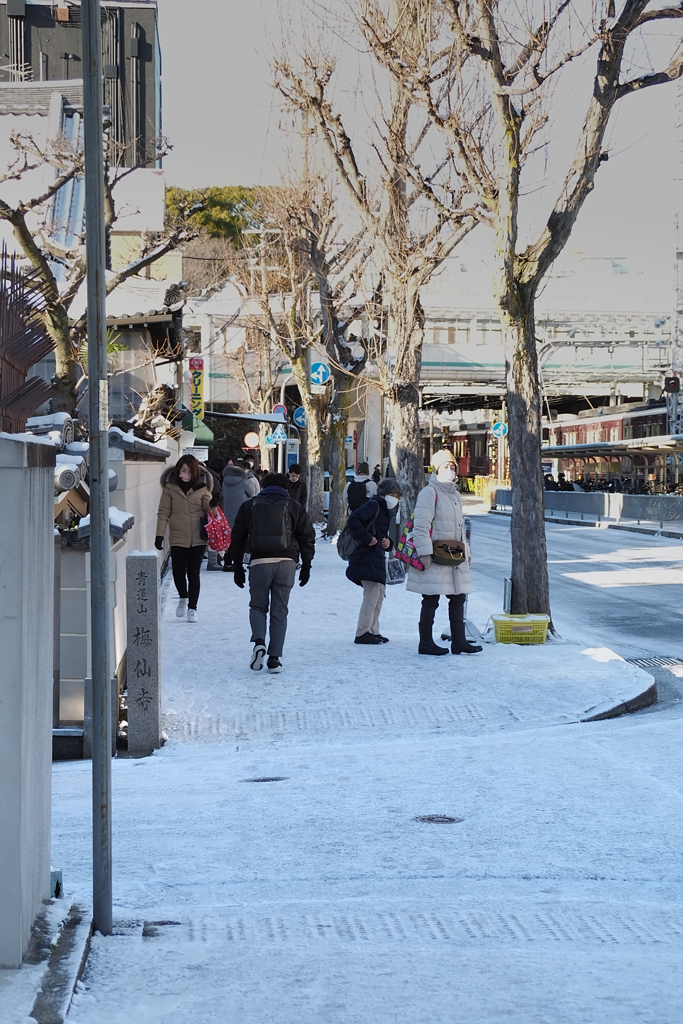 雪景色その5