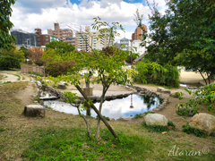 六甲風の郷公園ー２