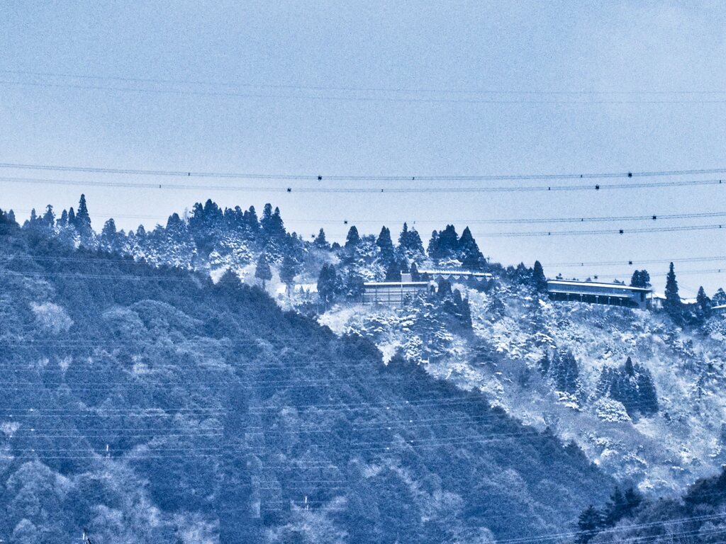 初冠雪　その３