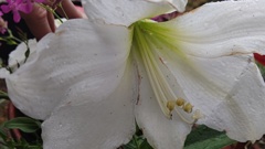 タイミングを逃す