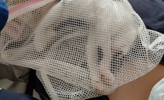 ワクチン接種しましょうね