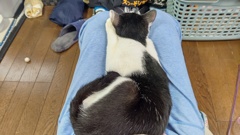 動けな～い